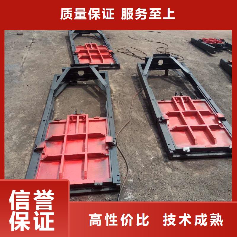 铸铁镶铜闸门-平板铸铁镶铜闸门直供价优