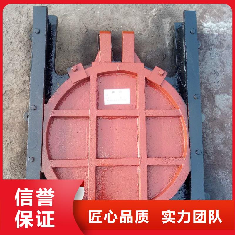 河道铸铁闸门-PZ平板平面双向止水铸铁闸门一站式
