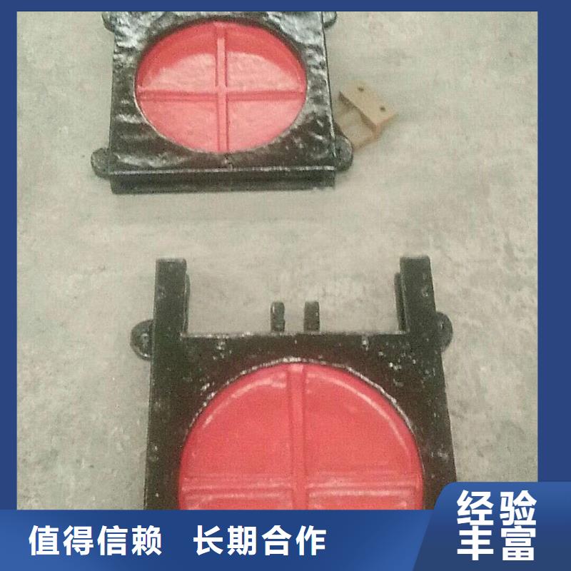 镶铜铸铁闸门源头好货