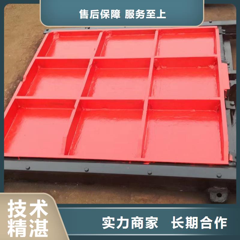 双向铸铁闸门