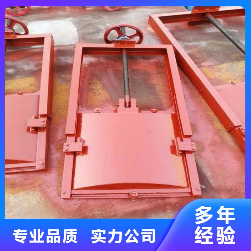 值得信赖的铸铁镶铜闸门厂家