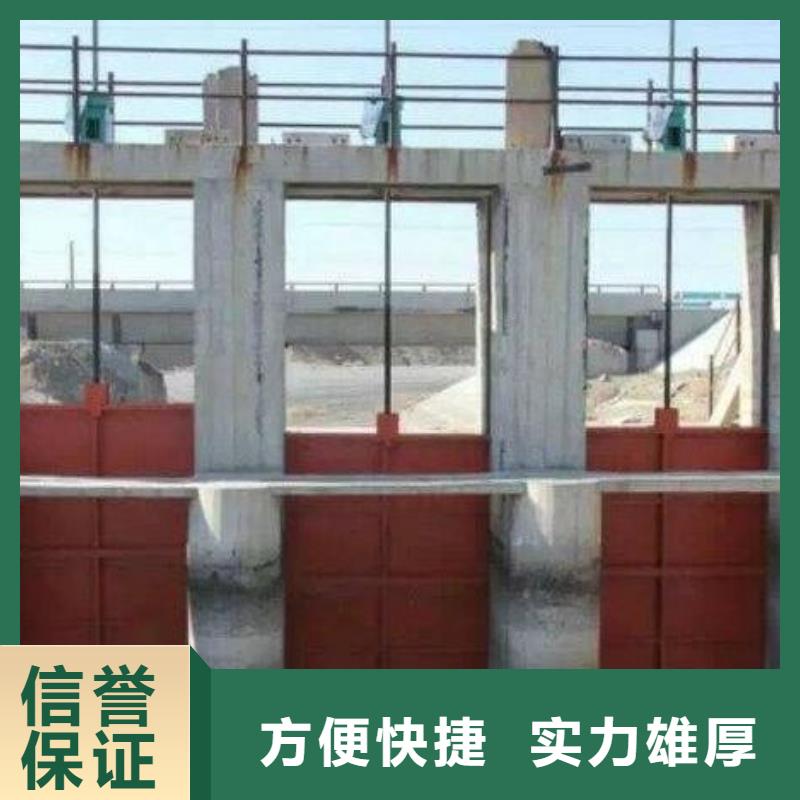 启闭机闸门-高压铸铁闸门快速响应