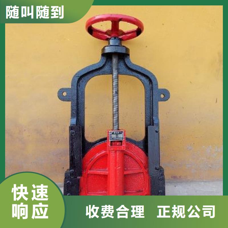 渠道闸门-PGZ渠道铸铁闸门直供价优