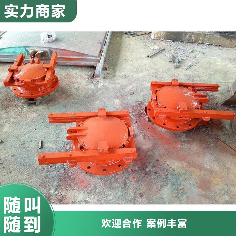平面拱形闸门价格实惠