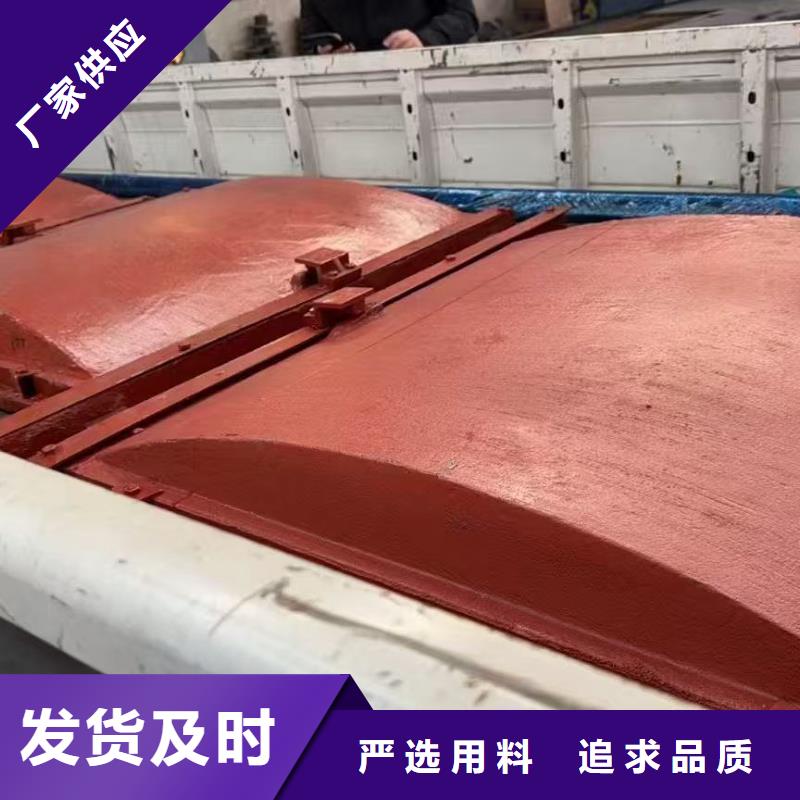 水电站闸门_附壁式铸铁镶铜闸门[制造生产商]