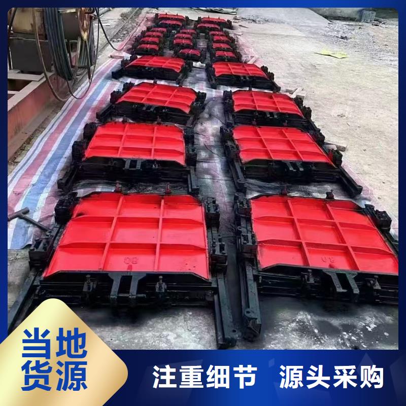 铸铁镶铜闸门-平板铸铁镶铜闸门经验丰富