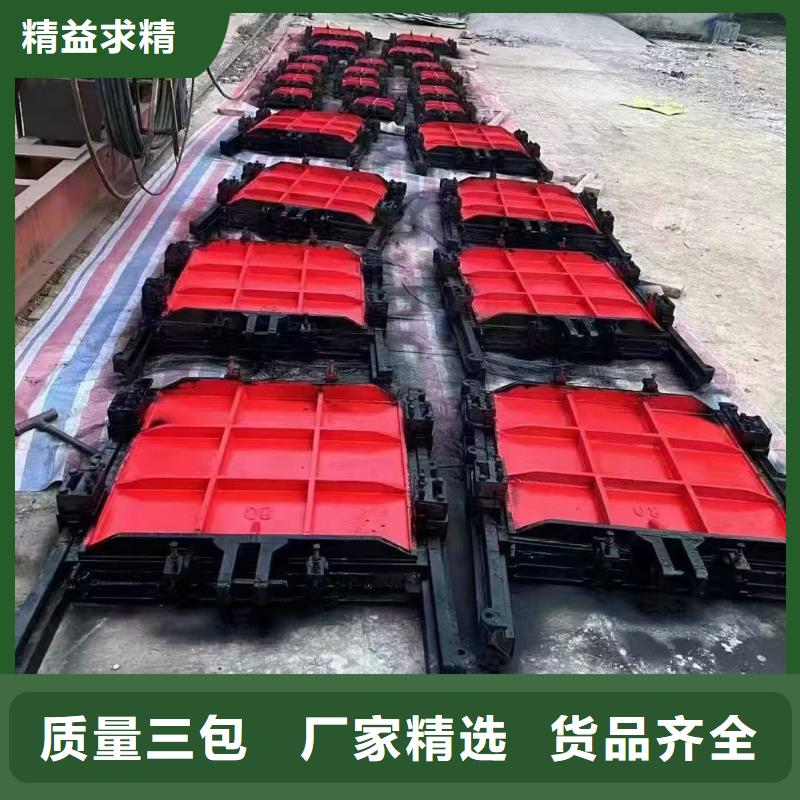 铸铁镶铜闸门-双向转动闸门经验丰富