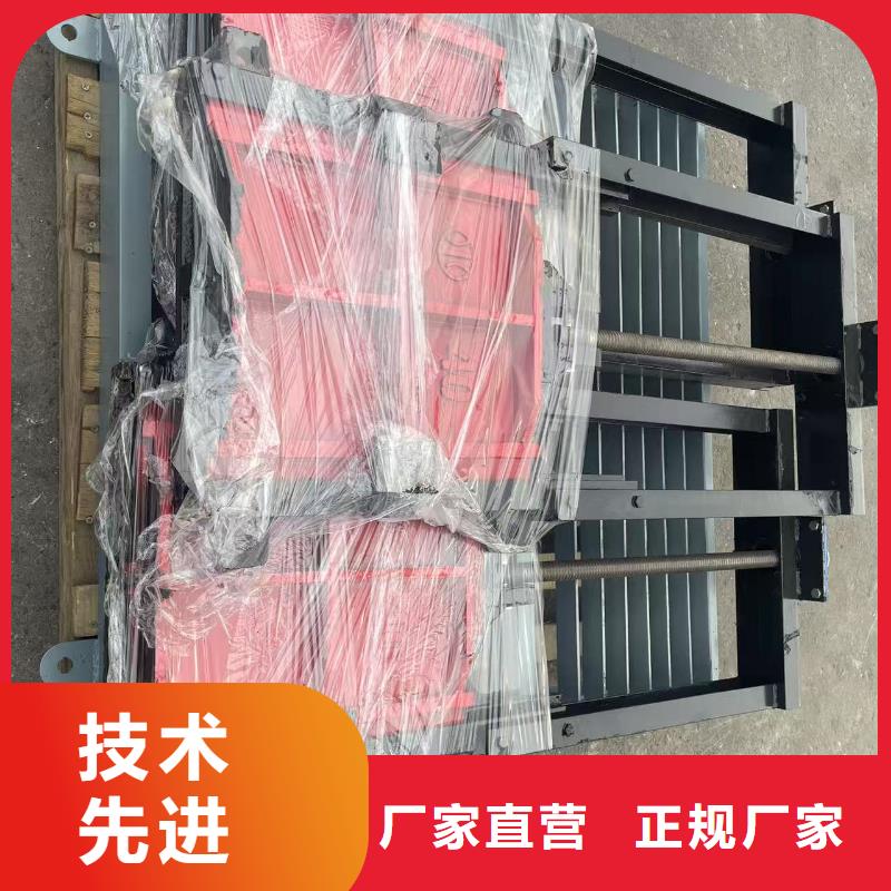新城区渠道闸门按需定制