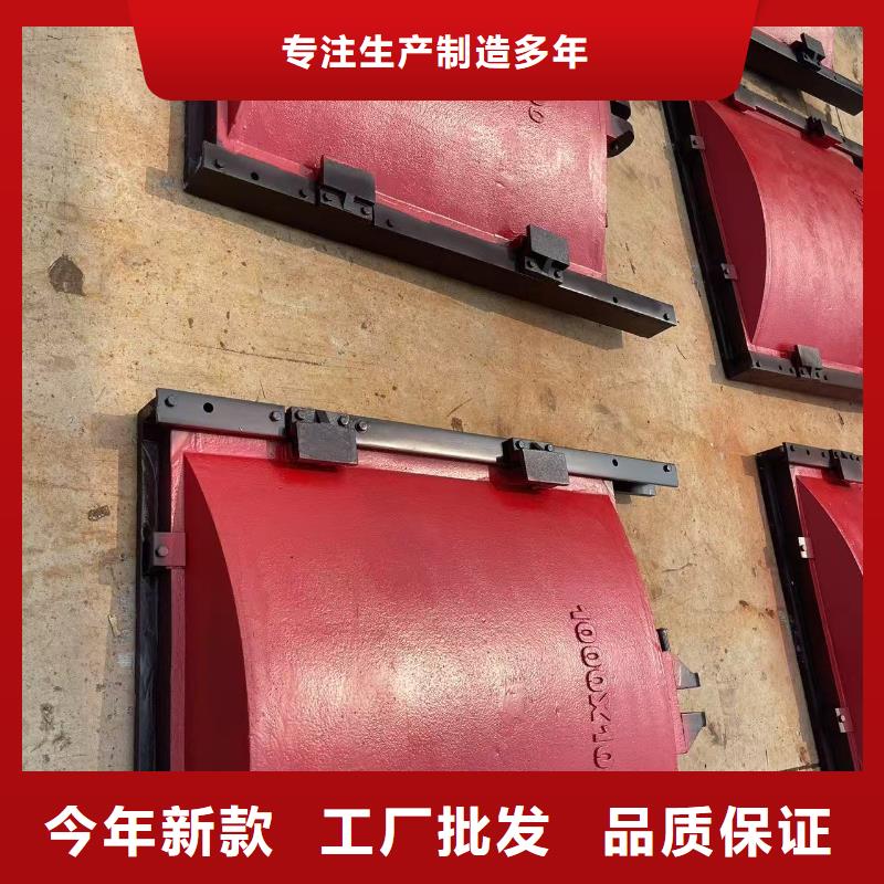 铸铁镶铜闸门_机闸一体铸铁闸门[厂家销售价格]