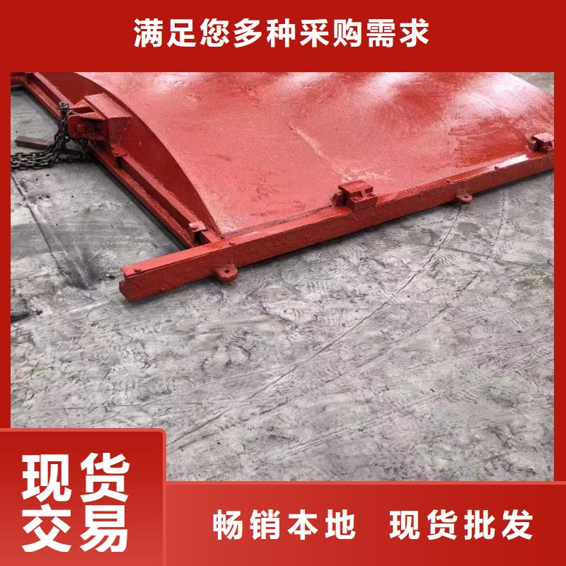 铸铁镶铜闸门-pz止水铸铁闸门一站式解决方案