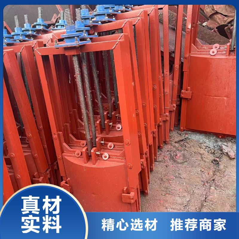 防倒灌闸门