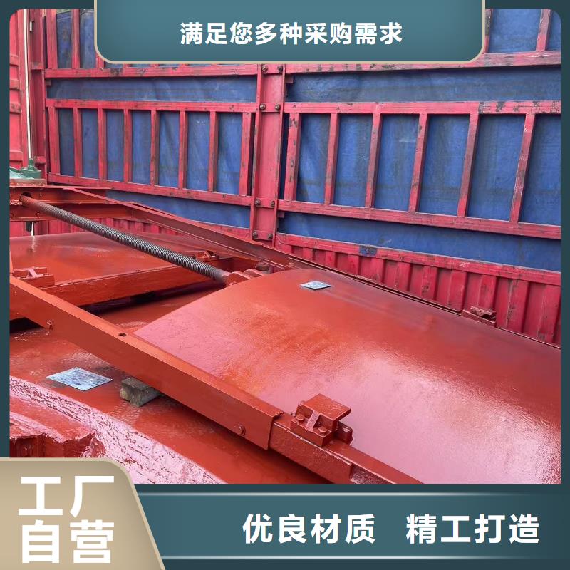 定安县闸门启闭机-附壁式双向止水铸铁闸门智能