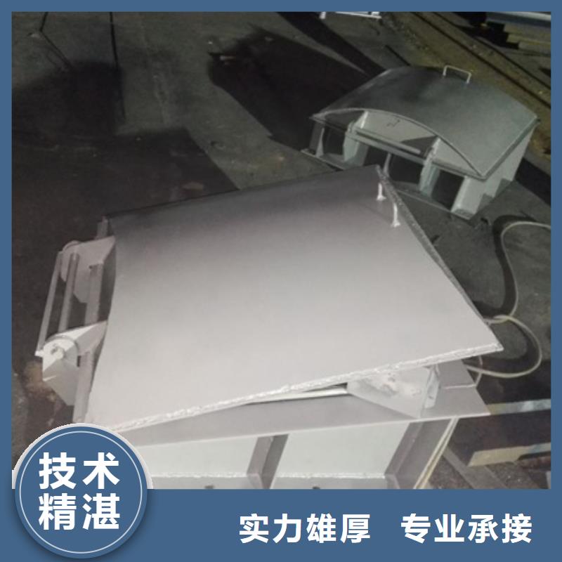 侧翻式单开不锈钢拍门批发厂家