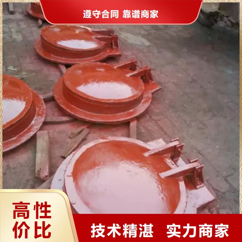 钢制拍门生产厂家价格