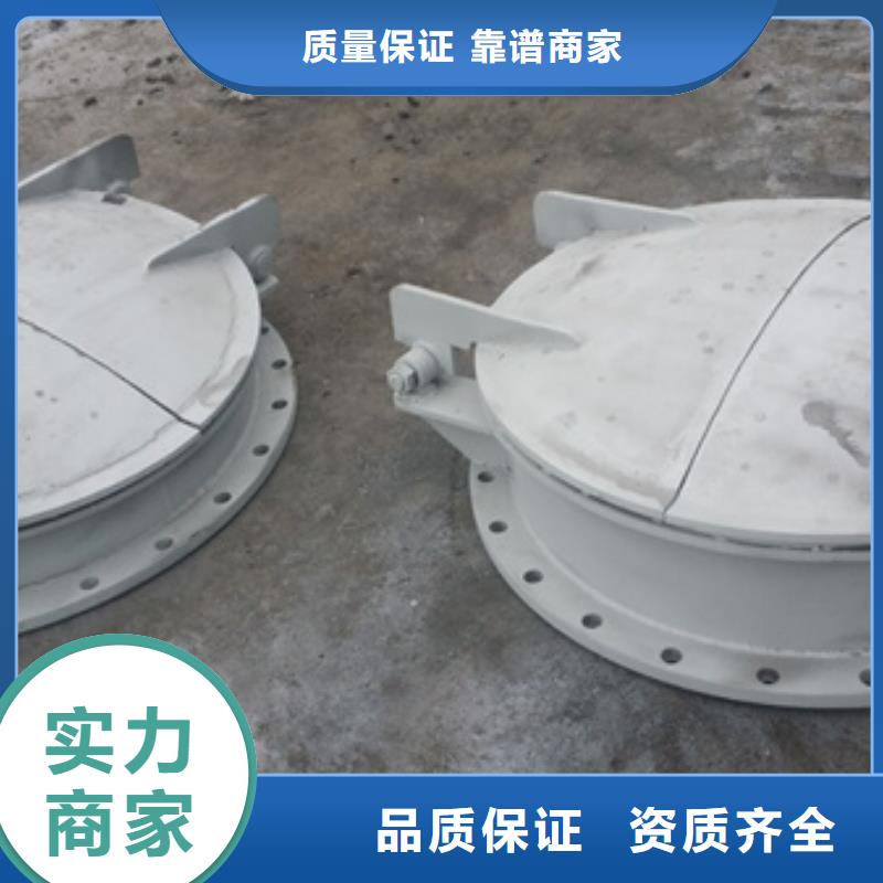 侧翻式单开不锈钢拍门批发厂家