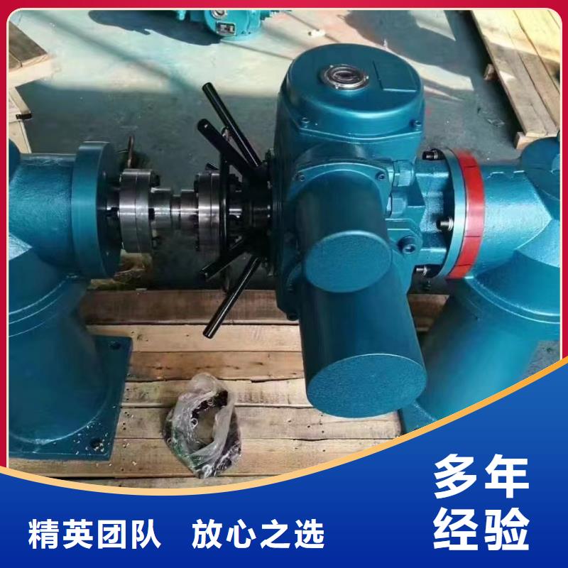 双吊点螺杆启闭机[厂家价格]
