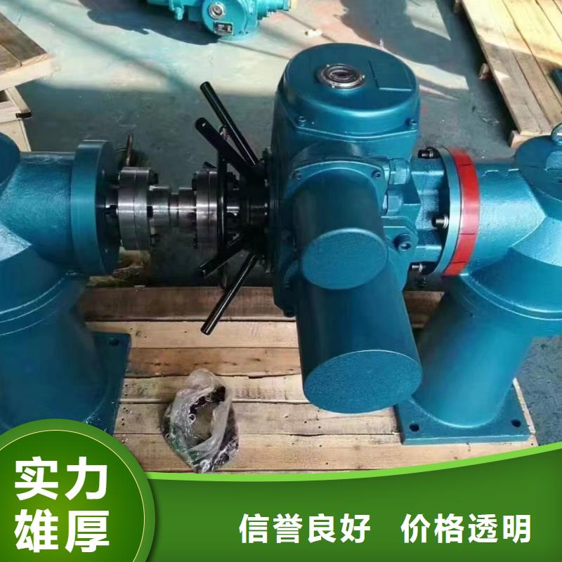 卷扬启闭机螺杆式手动启闭机源头厂家