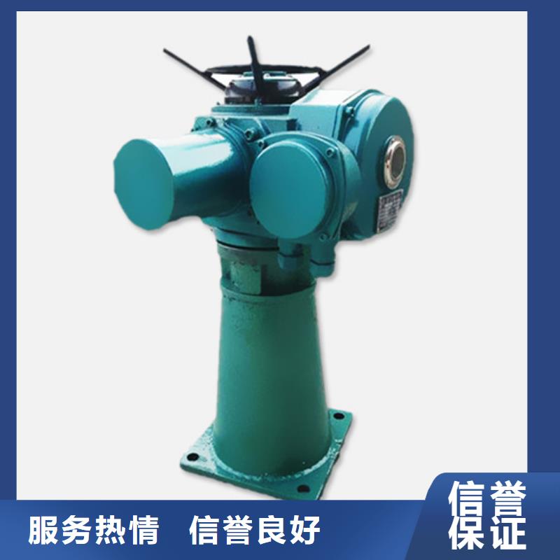 专业销售污水处理启闭机-优质