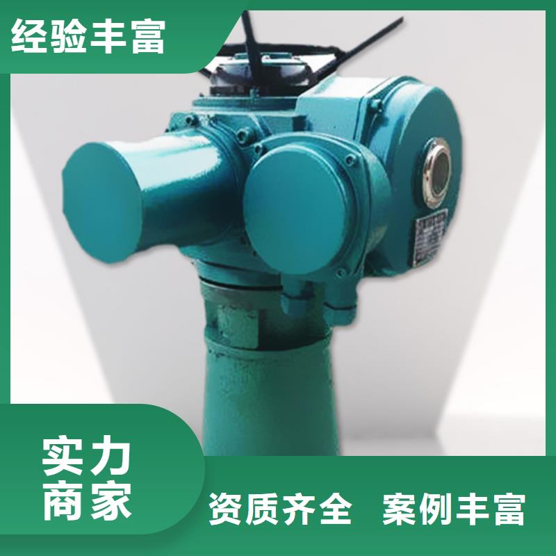启闭机闸门QL型手电两用双吊点启闭机经久耐用