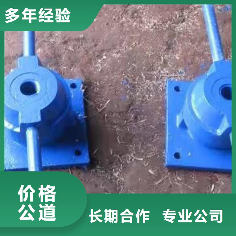 镇巴县侧摇启闭机就选瑞鑫水利