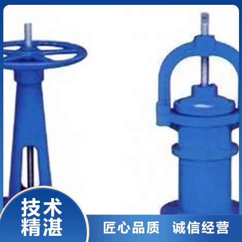 仁和区20吨启闭机量身定制诚信厂家