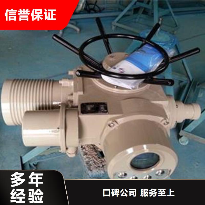 莲湖区10吨启闭机经久耐用