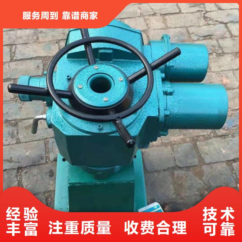 新邱区卷扬启闭机厂家价格