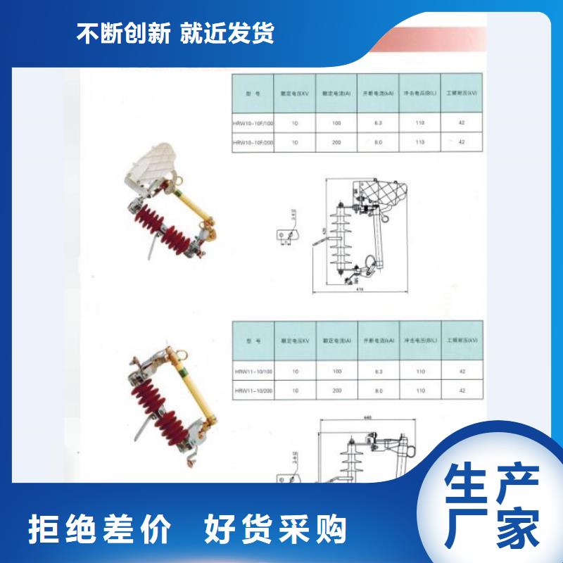 跌落式开关令克_RW12-10/100A