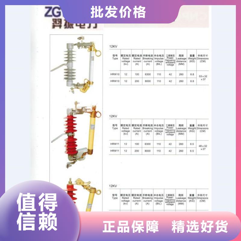 跌落式开关令克_RW12-10/100A