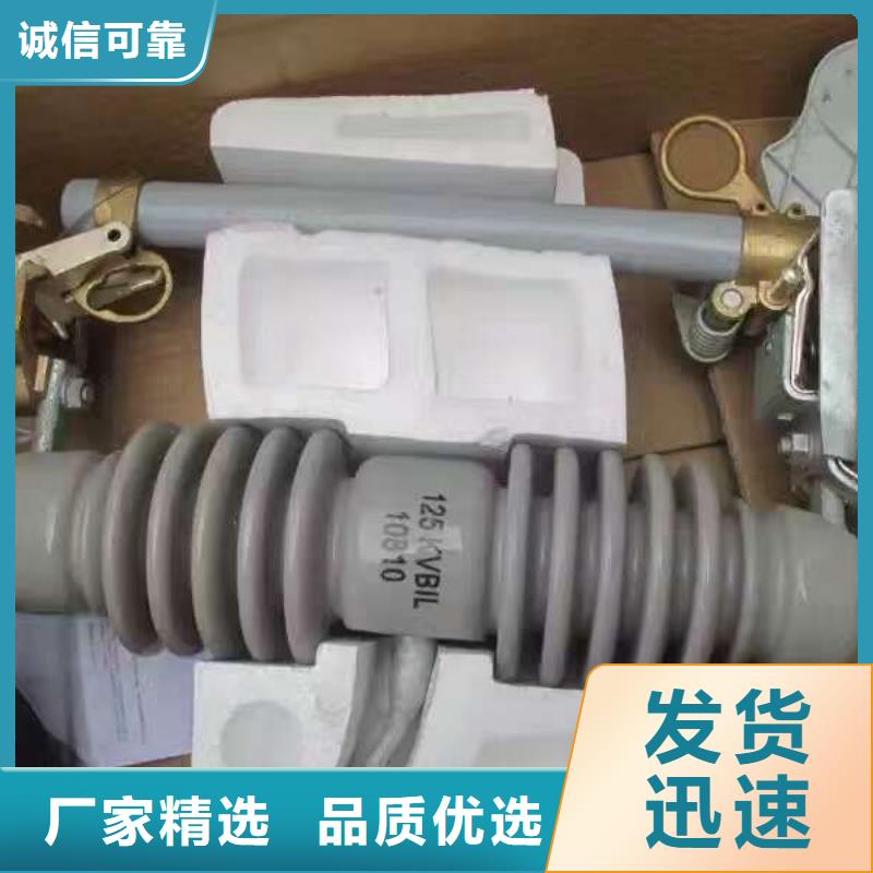【跌落式熔断器】RW3-12-100A
