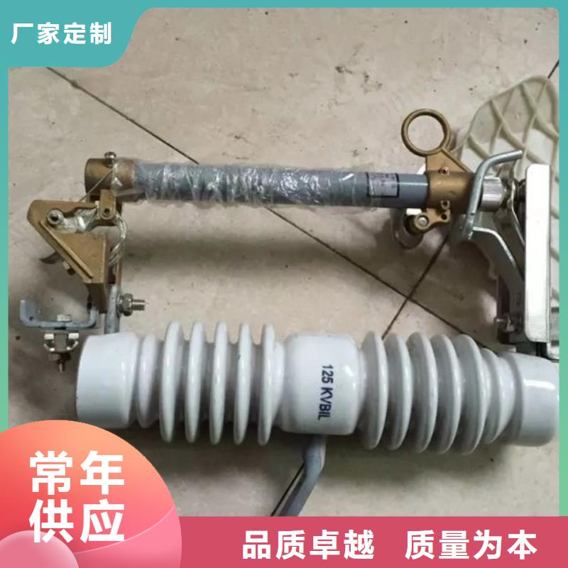 跌落式开关令克_RW12-10/100A