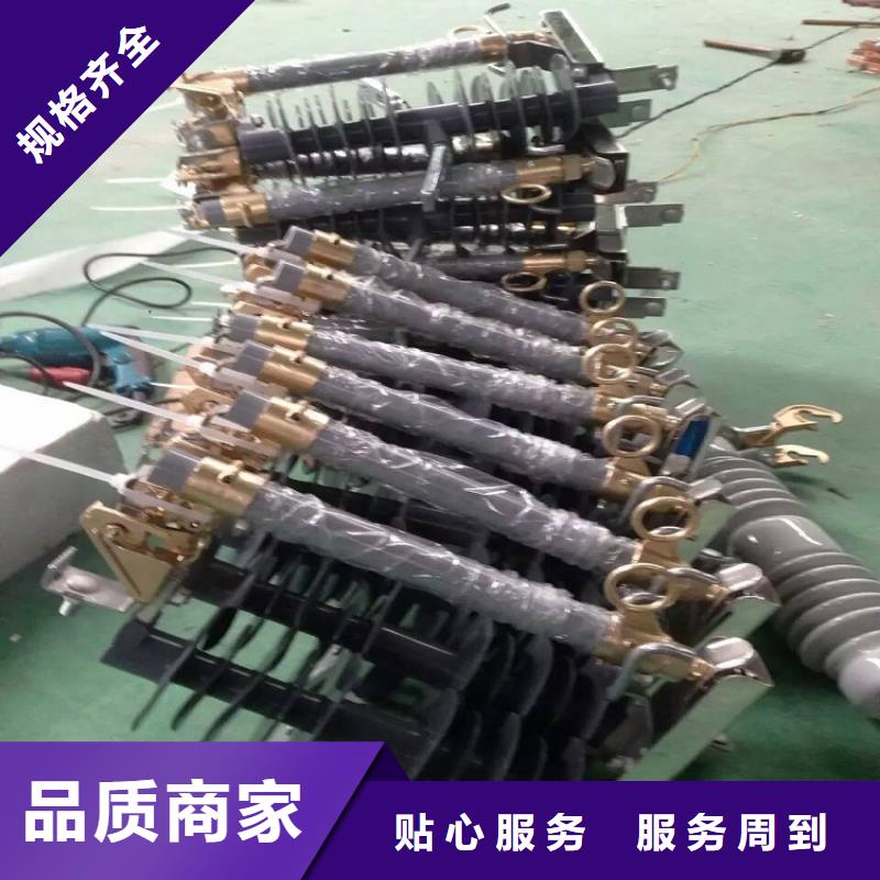 跌落式开关令克_RW12-10/100A