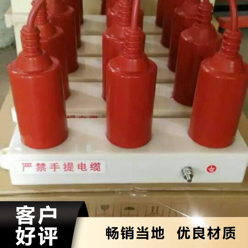过电压保护器-TBP-W-A/35-T过电压保护器