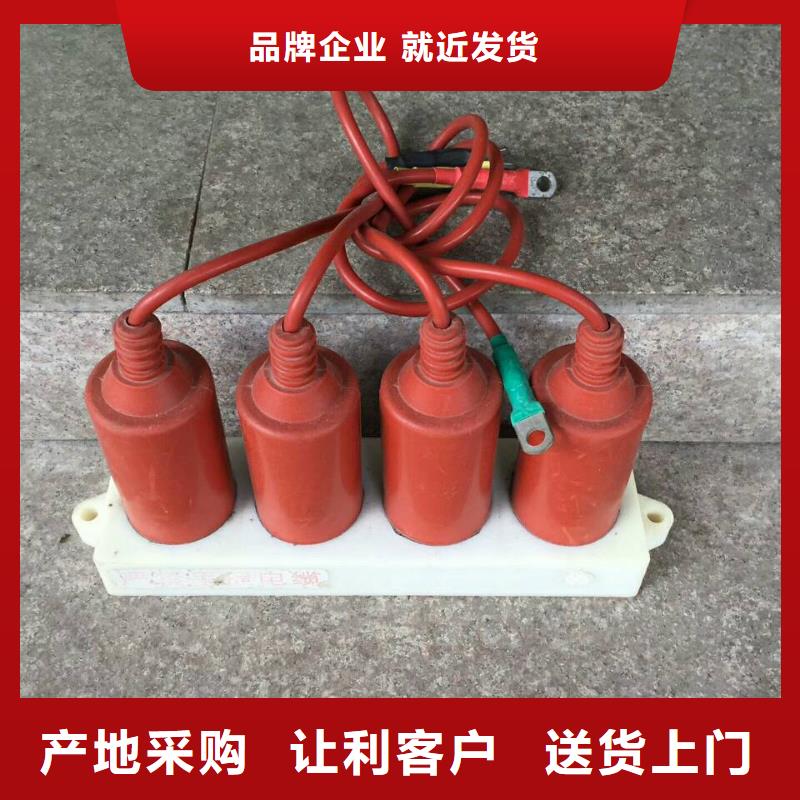 过电压保护器-TBP-W-A/35-T过电压保护器