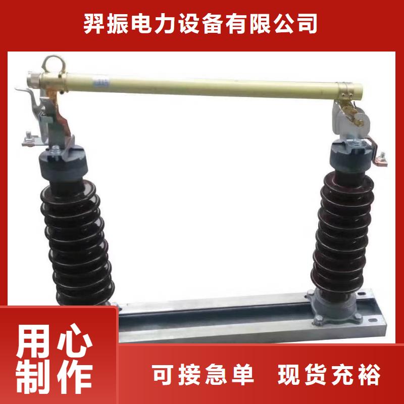 跌落式熔断器RW20-12F/100A户外式