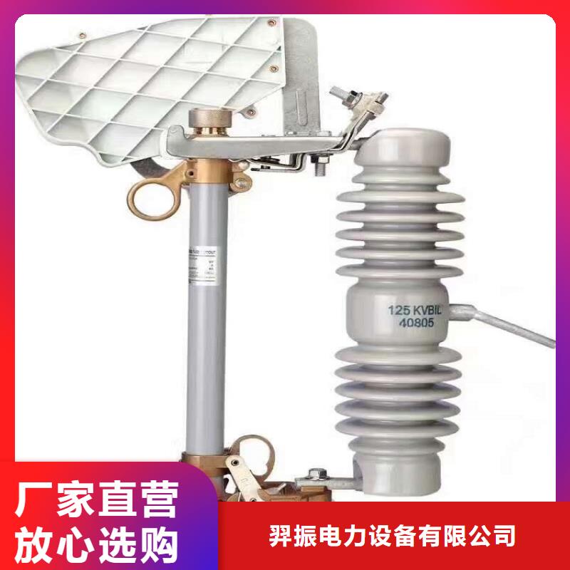【熔断器】复合悬式绝缘子原厂制造