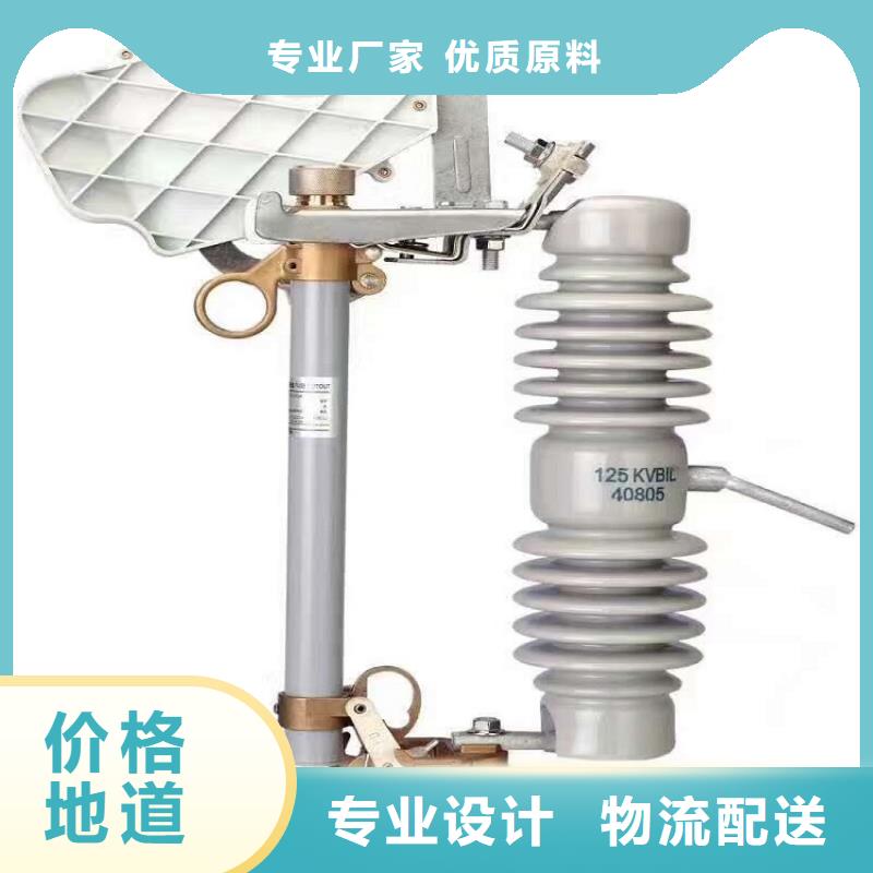 高压熔断器-RW10-12/100-6.3