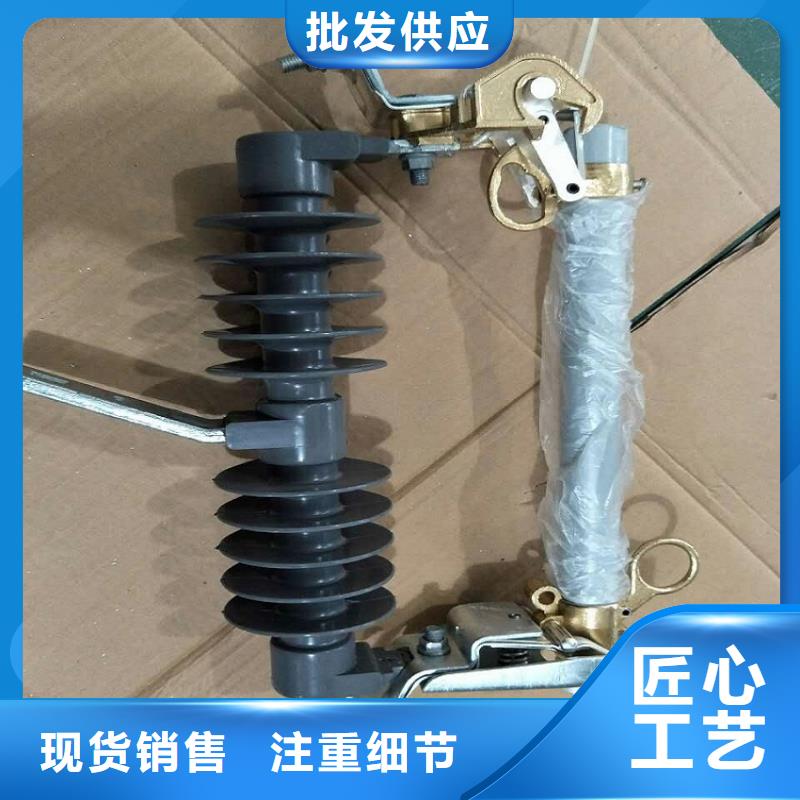 跌落式熔断器RW20-12F/100A户外式