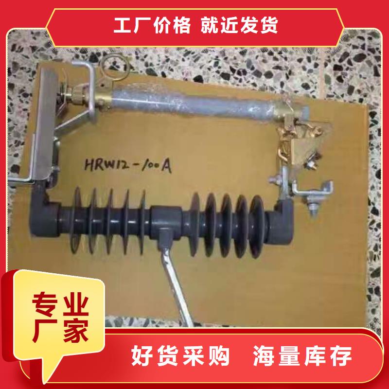 跌落式熔断器RW20-12F/100A户外式