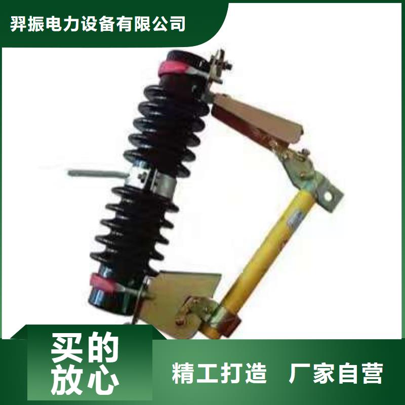 高压熔断器-RW10-12/100-6.3