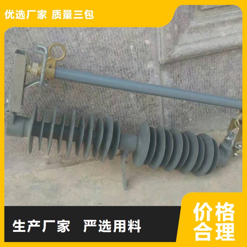 跌落式熔断器RW20-12F/100A户外式