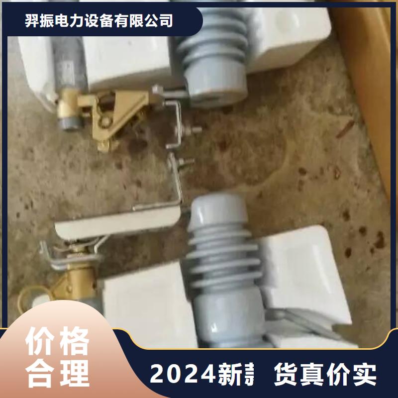 氧化锌避雷器Y10W1-102/266GY种类齐全浙江羿振电气有限公司