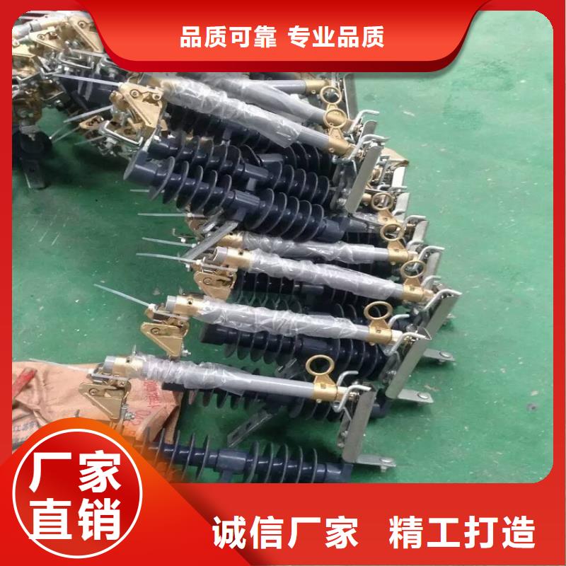 【高压熔断器】RW12-12/100浙江羿振电气有限公司
