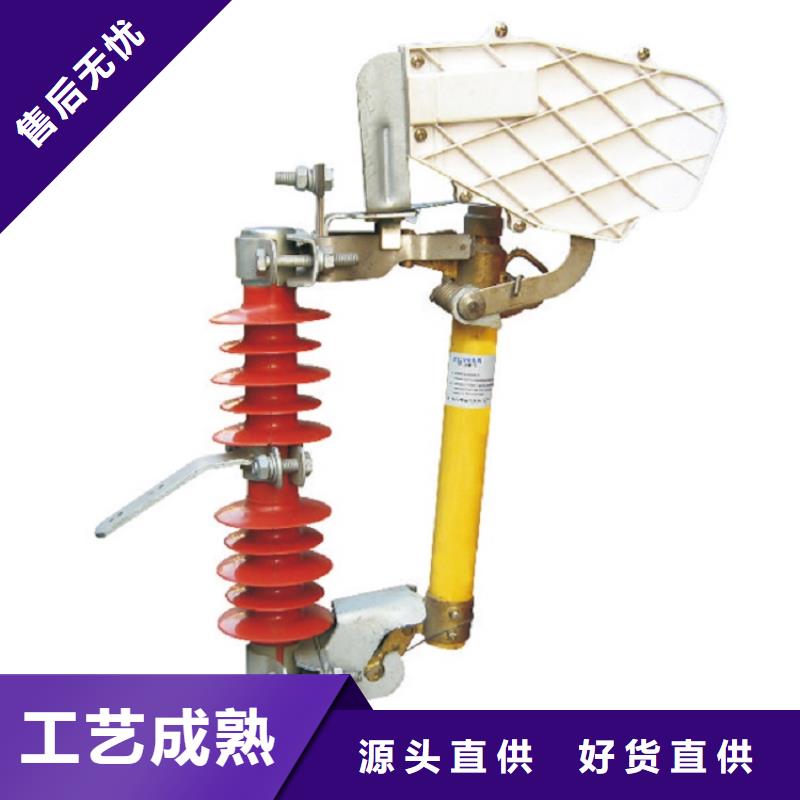 高压熔断器/HRW7-12/100A