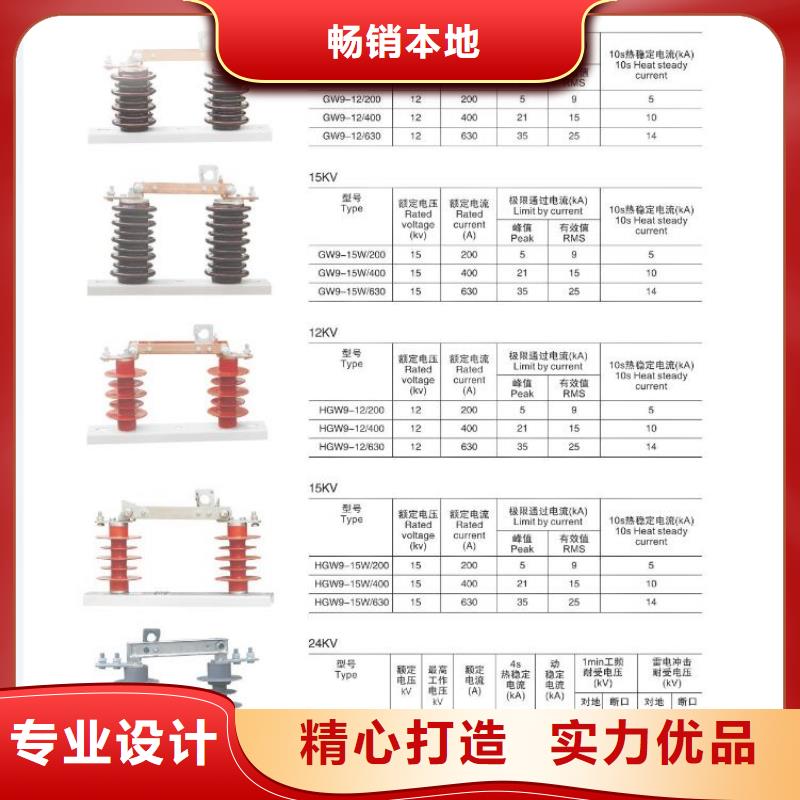 10KV单级隔离开关HGW9-15/200.