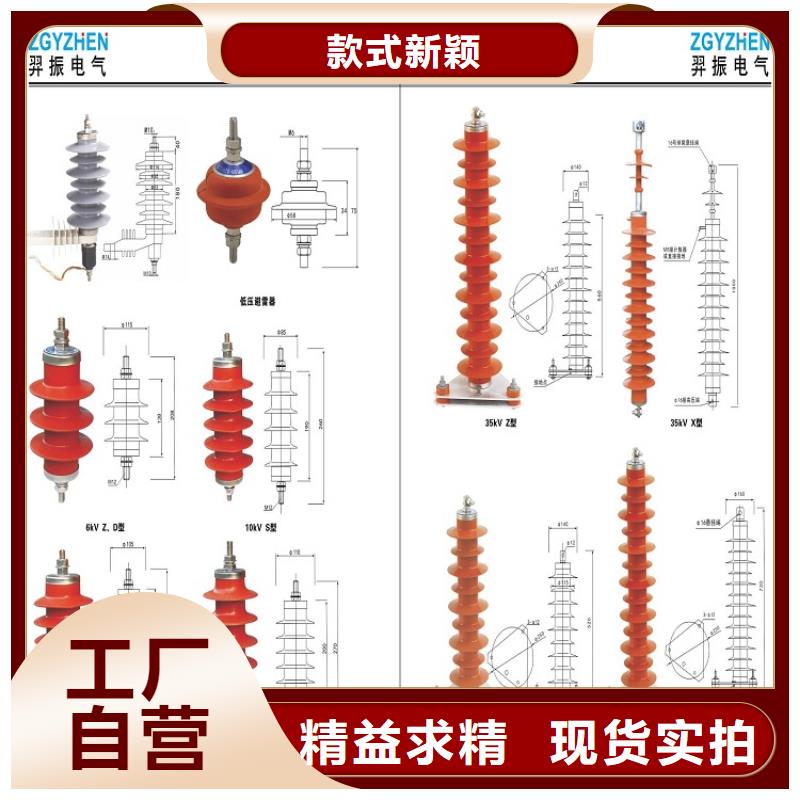 避雷器Y5W5-52.7/125临高县【羿振电气】