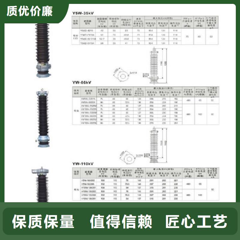 _避雷器YH5WX5-51/134【羿振电力设备】