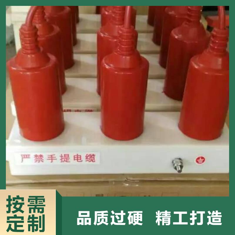 过电压保护器BSTG-C-17-J