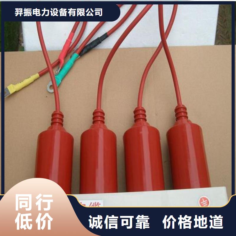 过电压保护器(组合式避雷器)TBP-C-7.6/150