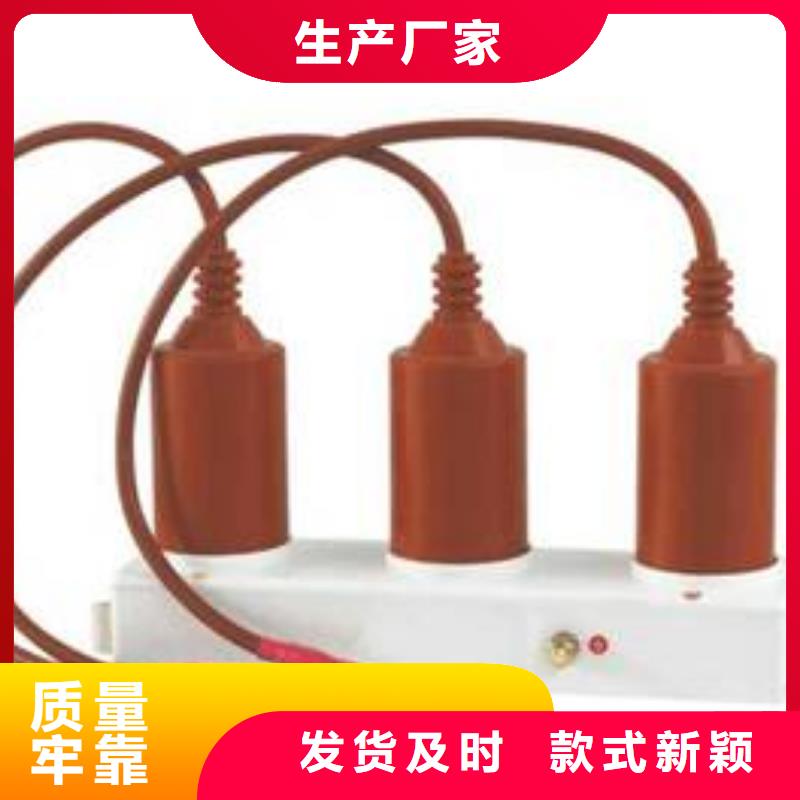 过电压保护器(组合式避雷器)TBP-C-7.6/150
